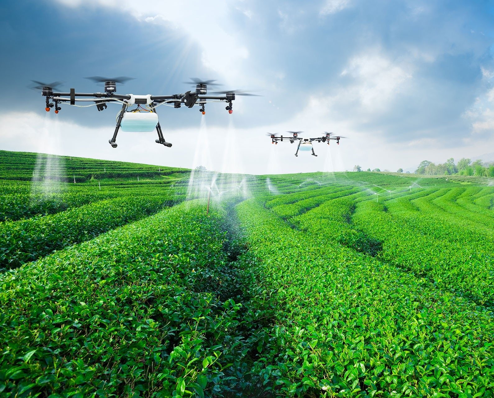 Proofminder agricultural field work